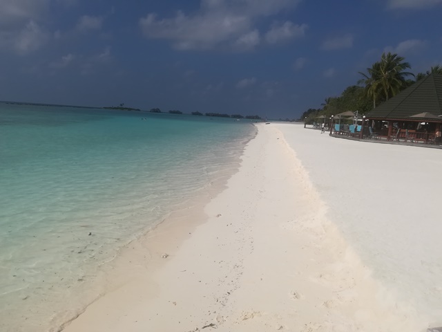 img5